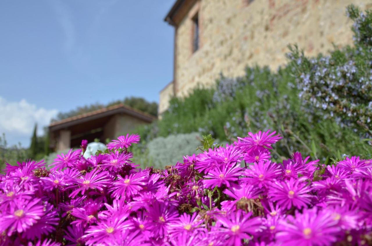 Antico Casale L'impostino Villa Civitella Marittima Esterno foto